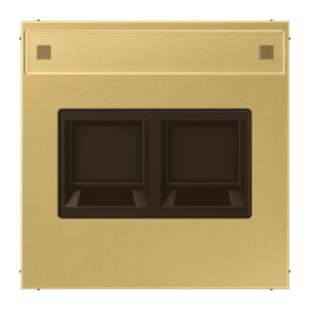 Jung ME1969-2NAWEC Abdeckung f. Modular-Jack 2fach NA WE (AMP, Rad.) (Messing Classic) Serie LS