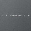 Gira 220128 Wippenset 1-fach beschriftbar System 55...