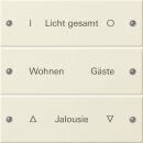 Gira 220301 Wippenset 3-fach beschriftbar System 55...