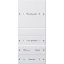 Gira 220427 Wippenset 4-fach (1+3) beschriftbar System 55...