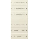 Gira 220601 Wippenset 6-fach (3+3) beschriftbar System 55...