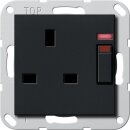 Gira 2780005 Steckdose BS 13 A gesch. Kontroll + SH...