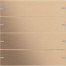 Gira 503438 Wippenset 4-fach individuell Tastsensor 4 TS4...