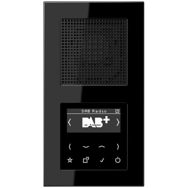 Jung Smart Radio DAB Komplett-Set Schwarz Serie A DABASW mit 1 Lautsprecher LSMA4SW und 2-fach Rahmen A5582BFSW