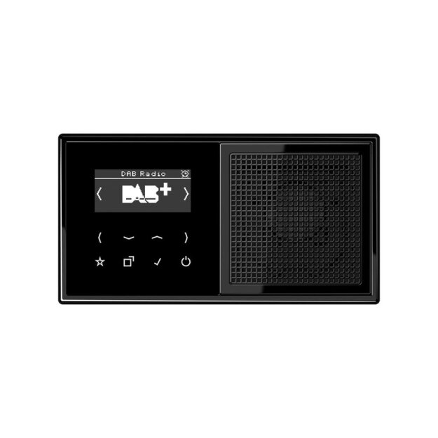 Jung Smart Radio DAB Komplett-Set Schwarz Serie LS DABLS1SW mit Lautsprecher und 2-fach Rahmen LS982SW