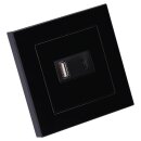 Jung USB-Ladegerät Komplett-Set Schwarz Serie A USB15CASW mit Abdeckung A1569USBSW und 1-fach Rahmen A5581BFSW