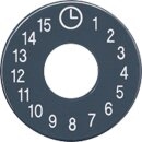 Jung SKS11015 Ersatz-Skalenscheibe Anthrazit