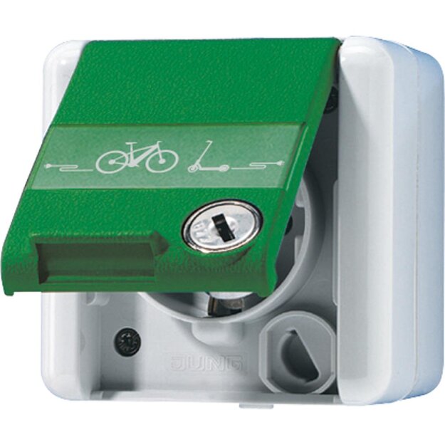 Jung 820GNNAWSLEB SCHUKO Aufputz Steckdose mit Klappdeckel und Sicherheitsschloss E-Bike