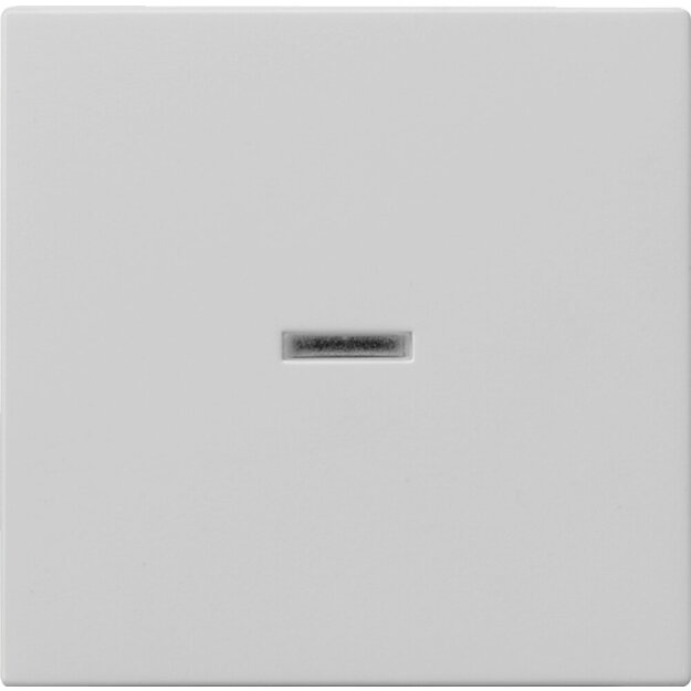 Gira 0290015 Wippe Kontrollfenster System 55 Grau matt