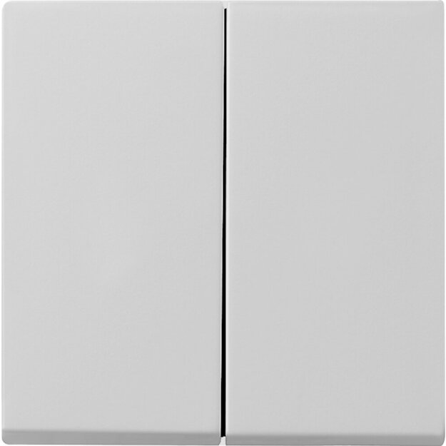 Gira 0295015 Wippe 2-fach System 55 Grau matt