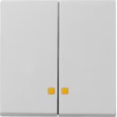 Gira 0631015 Wippe 2-fach Kontrollfenster System 55 Grau...