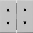 Gira 1150015 Wippe 2-fach Pfeilsymbole System 55 Grau matt