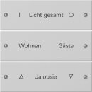 Gira 2203015 Wippenset 3-fach beschriftet System 55 Grau...