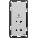 Gira 2820015 Rasiersteckdose 115 - 230 V System 55 Grau matt