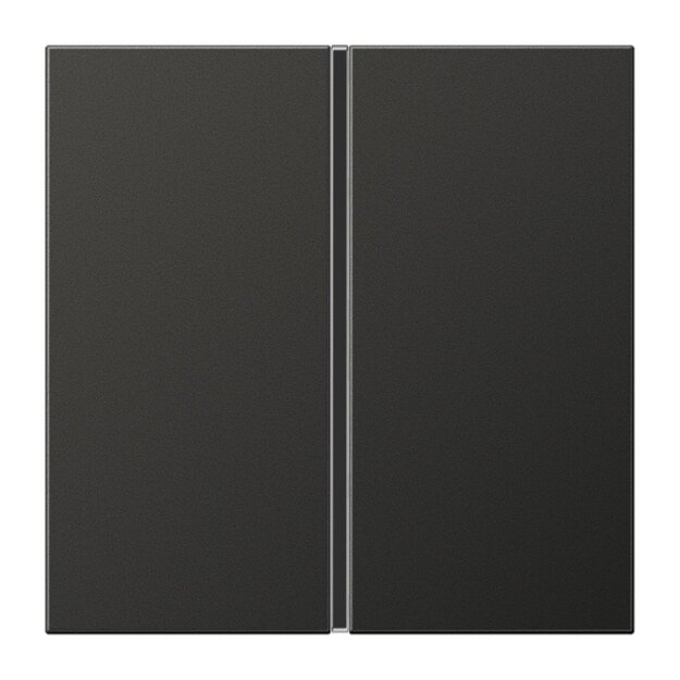 Jung AL2401TSAAN Tastensatz komplett 1fach (lackiertes Aluminium) Anthrazit Serie LS