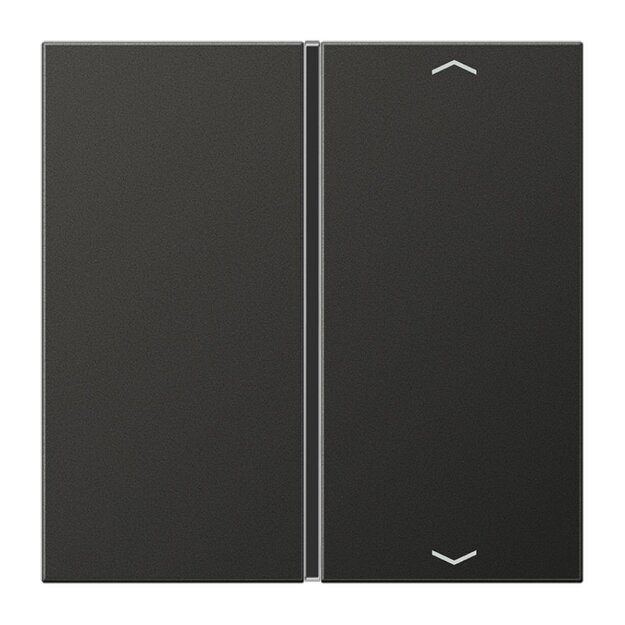 Jung AL2401TSAPAN Taste 1fach, Pfeil (lackiertes Aluminium) Anthrazit Serie LS