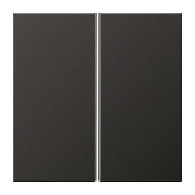 Jung AL2402TSAAN Tastensatz komplett 2fach (lackiertes Aluminium) Anthrazit Serie LS