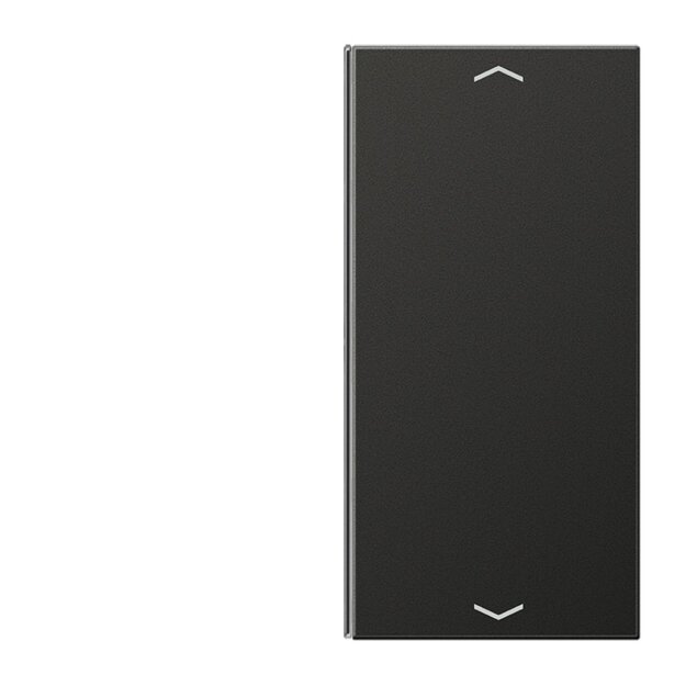 Jung AL2402TSAPAN Taste 2fach, Pfeil (lackiertes Aluminium) Anthrazit Serie LS