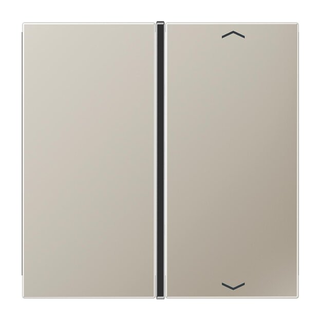 Jung ES2401TSAP Taste 1fach, Pfeil Edelstahl