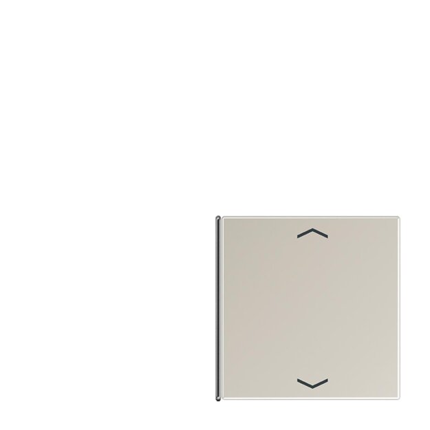 Jung ES2404TSAP14 Taste 4fach, Pfeil Edelstahl