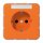 Jung CD1520NBFNAO SCHUKO Steckdose mit Schriftfeld ohne Kralle Orange Serie CD