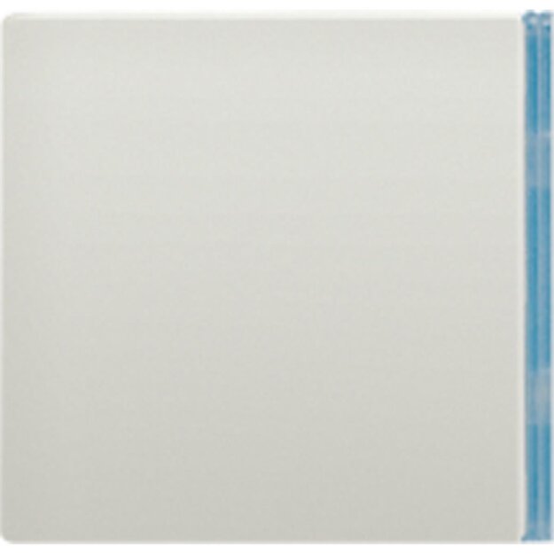 Jung ES2404TSAN23 Taste 4-fach neutral Edelstahl