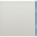 Jung ES2404TSAN23 Taste 4-fach neutral Edelstahl