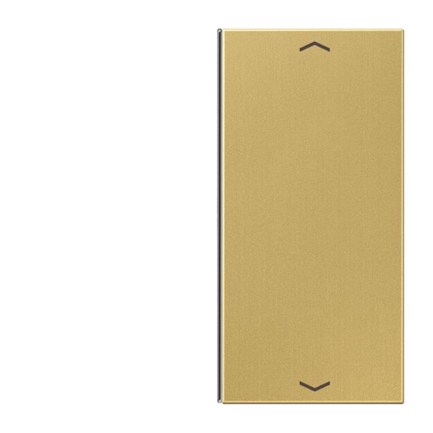 Jung ME2402TSAPC Taste 2fach, Pfeil (Messing) Messing Serie LS