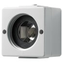 Jung 637-14WEINS Lichtsignaleinsatz