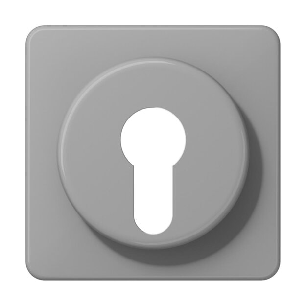 Jung CD528GR-KB Abdeckung für Schlüsselschalter Grau Serie CD