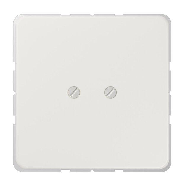 Jung CD561BLG Blind-Abdeckung Lichtgrau Serie CD