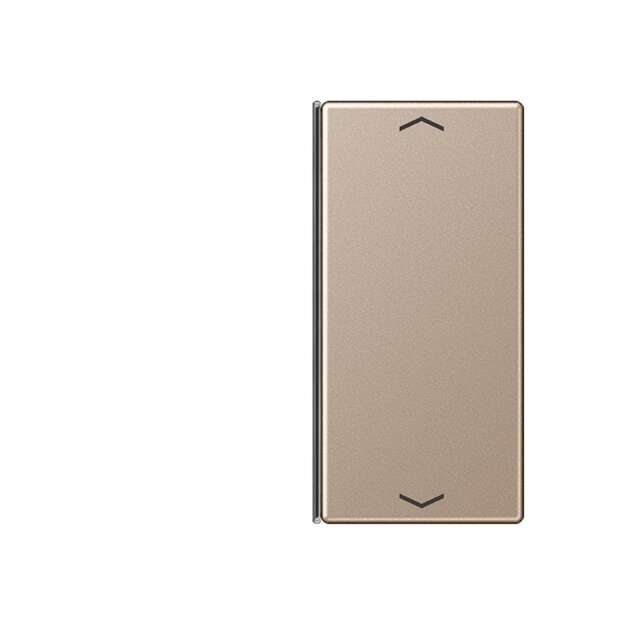 Jung A402TSAPCH Taste 2fach, Pfeil Champagner Serie A