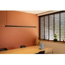 SLV 1003530 NOYA PD PHASE Indoor LED Pendelleuchte Schwarz CCT switch 2700/3000K