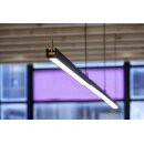 SLV 1003530 NOYA PD PHASE Indoor LED Pendelleuchte Schwarz CCT switch 2700/3000K