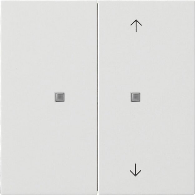 Gira 5175112 KNX Taster Wippe 2-fach unbedruckt/Pfeile Flächenschalter Reinweiß