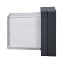 BEGA 22444K3 Decken-/Wand-/Pfeilerleuchte für den Innen- & Außenbereich Grafit 3000 K (Glas-Nr. 1100281411)