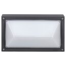 BEGA 22603K3 Decken- und Wandleuchte für den Innen- & Außenbereich Grafit 3000 K (Glas-Nr. 1100245911)