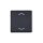 Jung A404TSAPANM23 Taste 4fach, Pfeil Anthrazit Matt Serie A