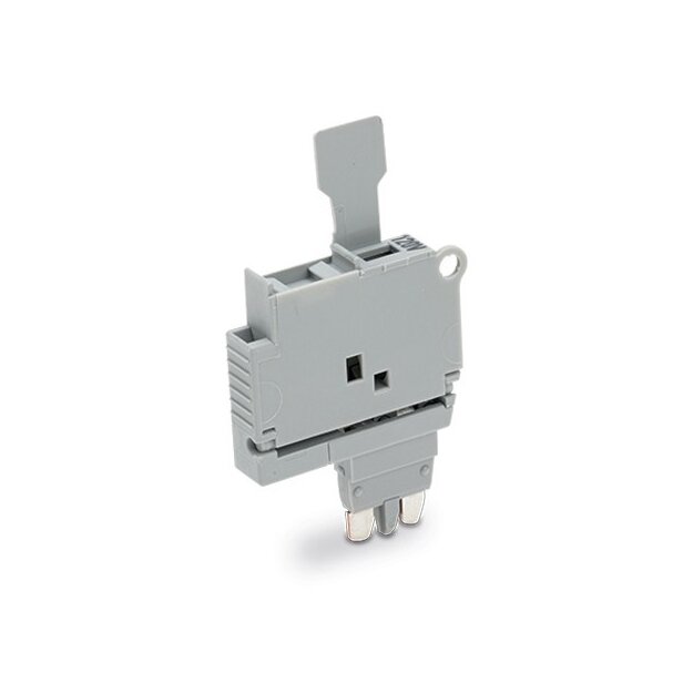 Wago 2004-911/1000-867 Sicherungsstecker für G-Sicherungseinsatzerungseinsatz 5 x 20 mm 120 V grau