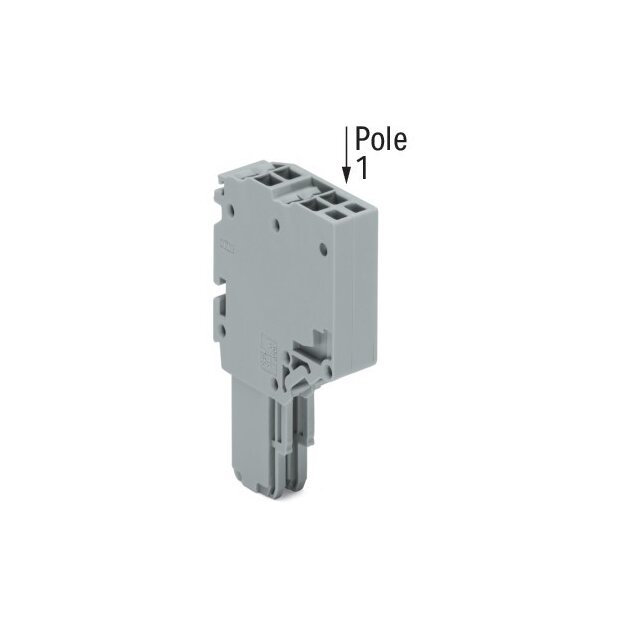 Wago 2020-202 2-Leiter-Federleiste 1,5 mm² 2-polig grau