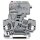 Wago 281-611/281-542 2-Leiter-Sicherungsklemme mit schwenkbarem Sicherungshalter für G-Sicherungseinsatz 5 x 20 mm 30 - 65 V 4 mm² grau