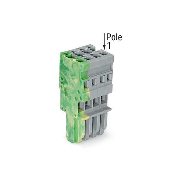 Wago 769-104/000-037 1-Leiter-Federleiste 4 mm² 4-polig grün-gelb/grau