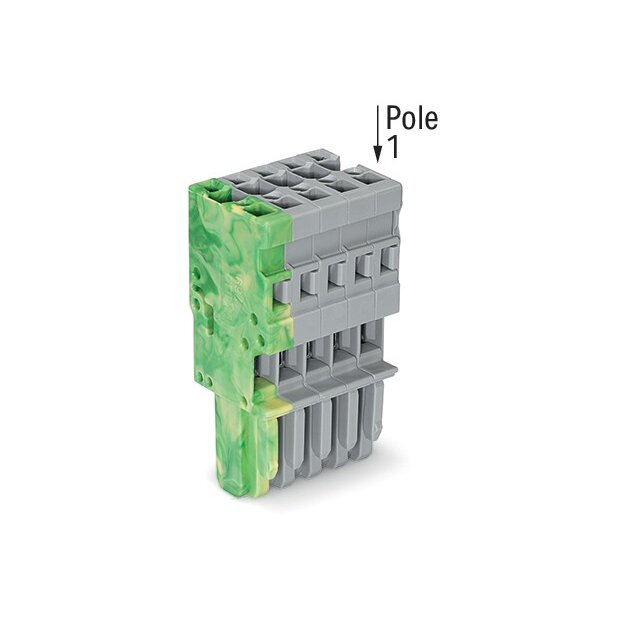 Wago 769-105/000-037 1-Leiter-Federleiste 4 mm² 5-polig grün-gelb/grau