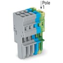Wago 769-105/000-038 1-Leiter-Federleiste 4 mm²...