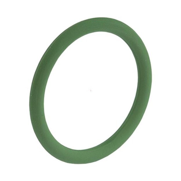 Kaiser 1113.98.22.08 O-Ring FPM 22.0 x 2.0