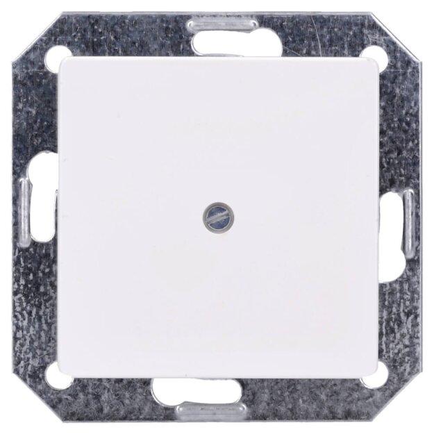 Siemens 5TG2558 DELTA i-system titanweiß Blindplatte 55x 55mm
