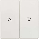 Siemens 5TG6214 DELTA i-system titanweiß Wippe mit...