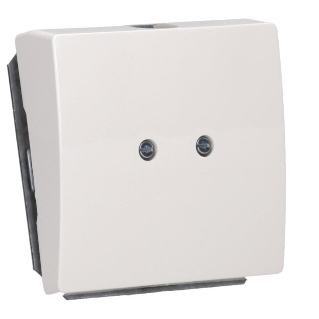 Siemens 5TG1335 DELTA style titanweiß Auslassplatte 68x 68mm