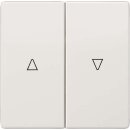 Siemens 5TG7143 DELTA style titanweiß Wippe mit...