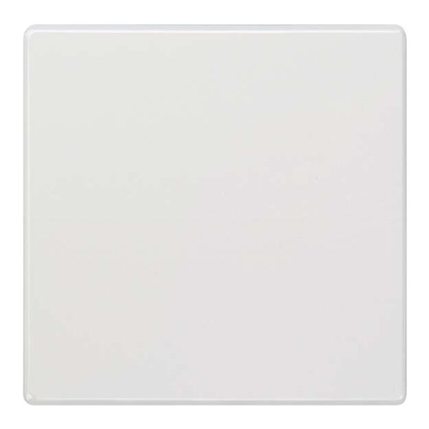 Siemens 5TG7141 DELTA style titanweiß Wippe 68x 68mm für Universalschalter Wechsel